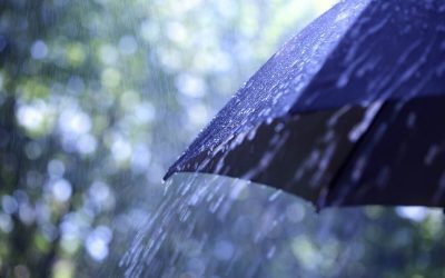 Jola Biegaj’s Case for Umbrella Insurance