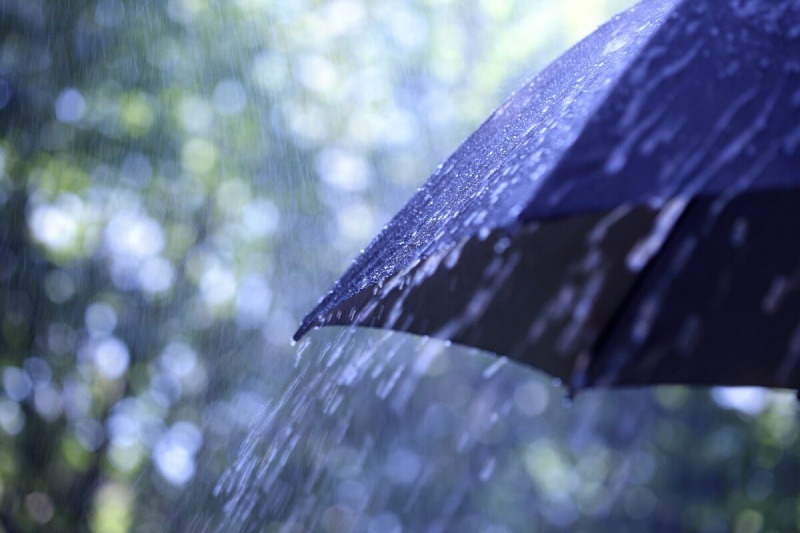 Jola Biegaj’s Case for Umbrella Insurance